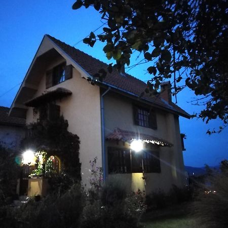 B&B Jonovic Donji Milanovac Zewnętrze zdjęcie