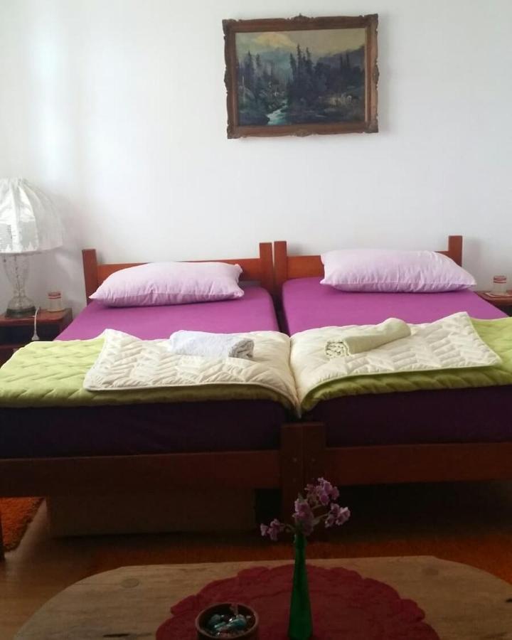 B&B Jonovic Donji Milanovac Zewnętrze zdjęcie