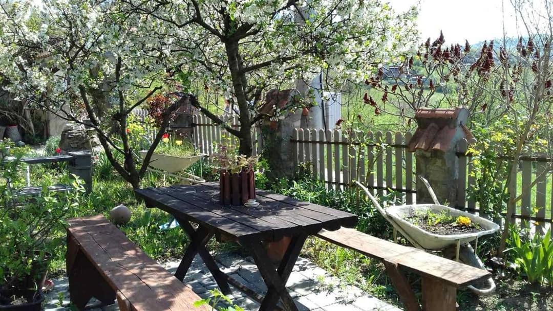 B&B Jonovic Donji Milanovac Zewnętrze zdjęcie