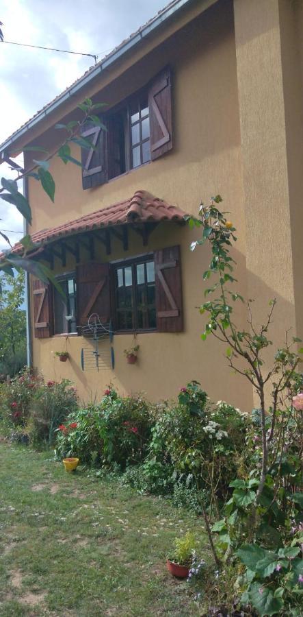 B&B Jonovic Donji Milanovac Zewnętrze zdjęcie