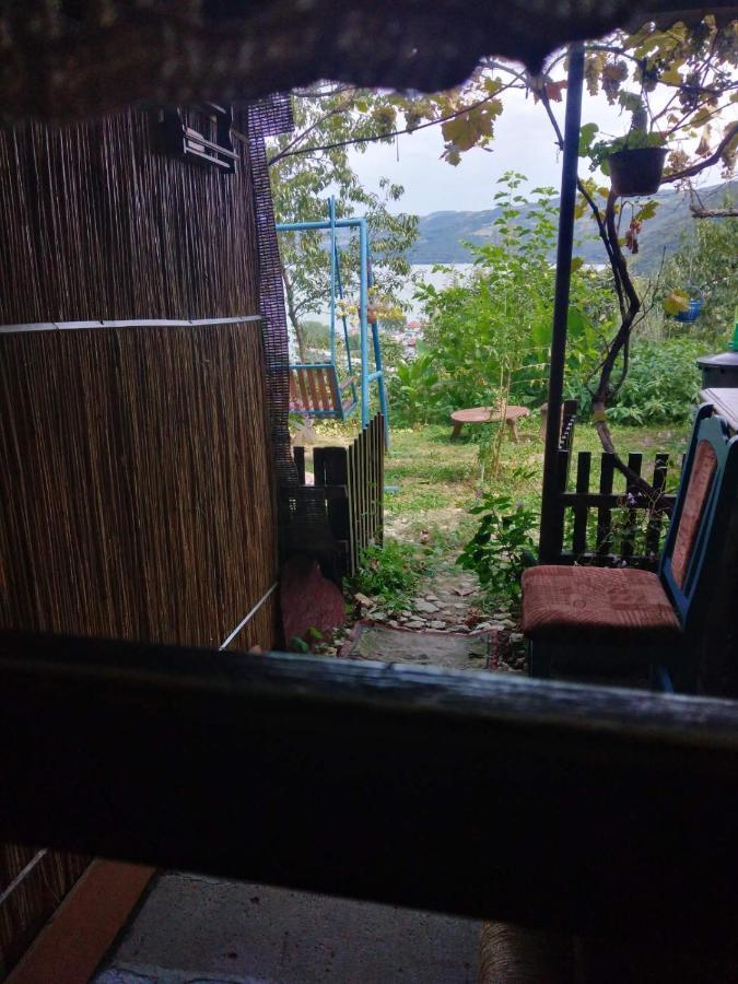 B&B Jonovic Donji Milanovac Zewnętrze zdjęcie