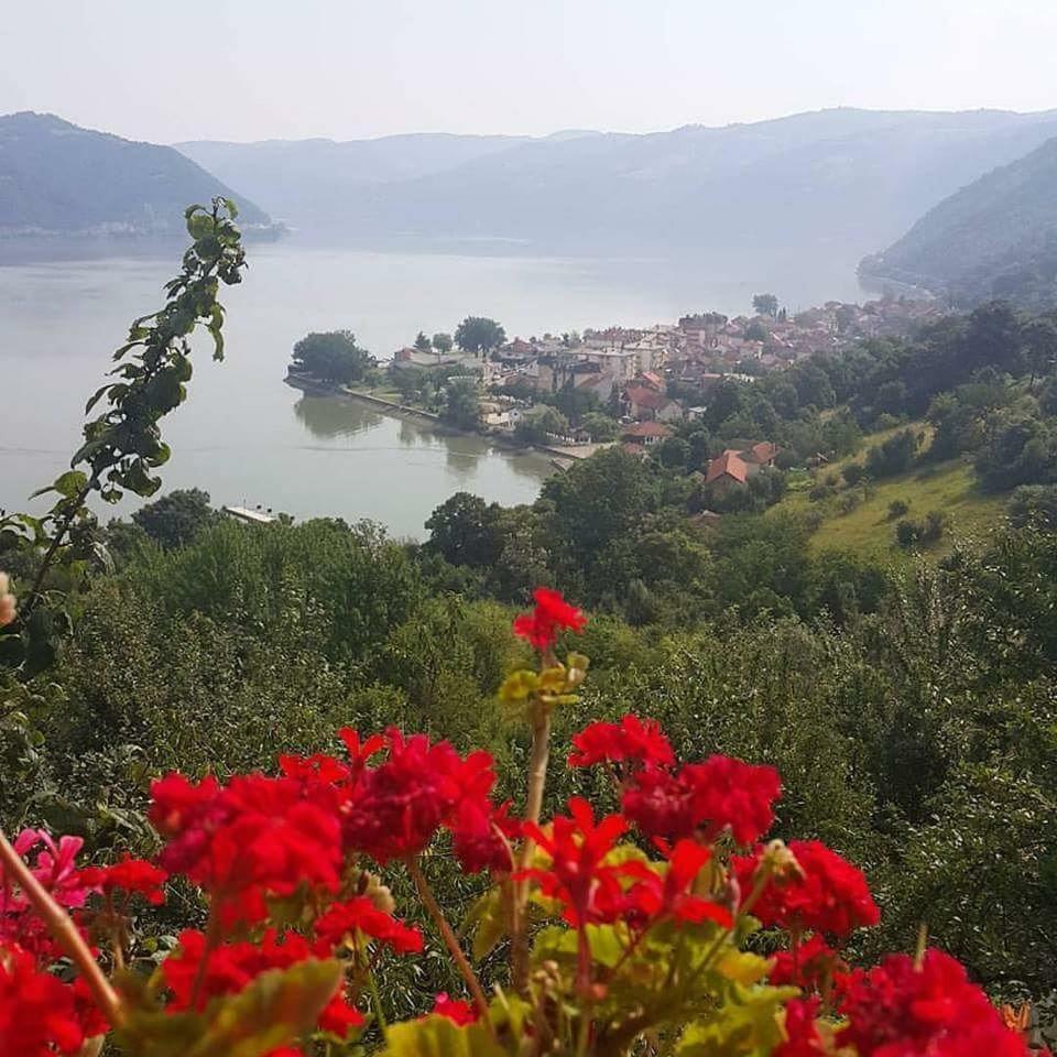 B&B Jonovic Donji Milanovac Zewnętrze zdjęcie