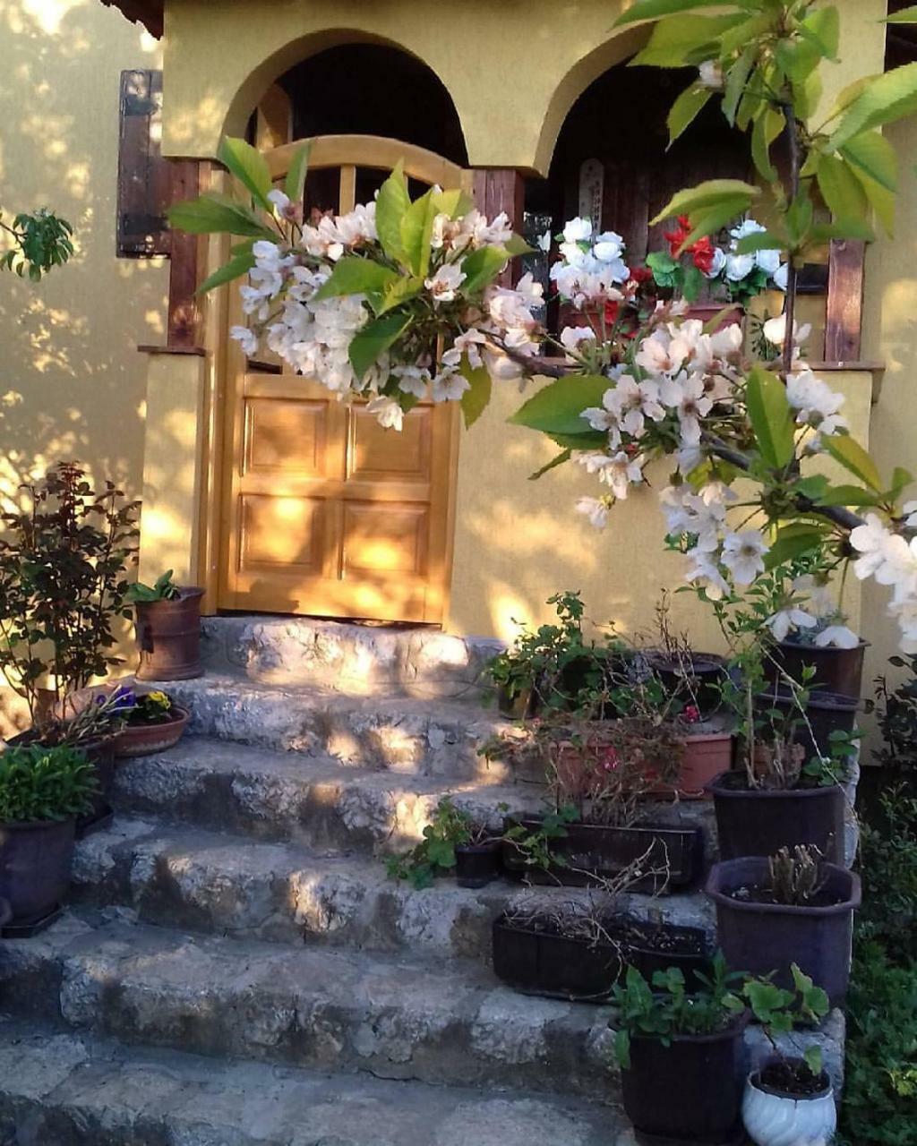 B&B Jonovic Donji Milanovac Zewnętrze zdjęcie