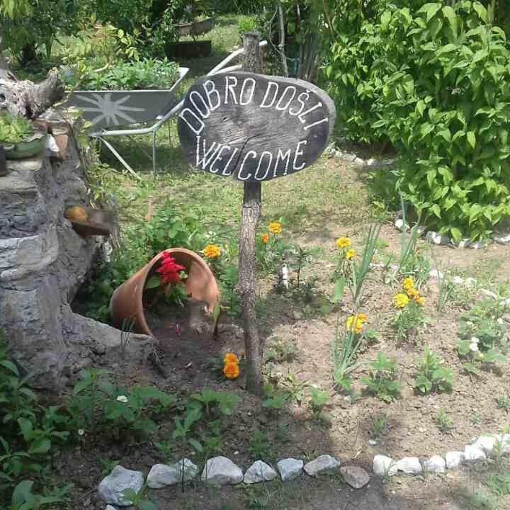 B&B Jonovic Donji Milanovac Zewnętrze zdjęcie