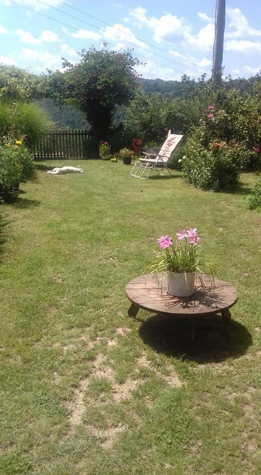 B&B Jonovic Donji Milanovac Zewnętrze zdjęcie