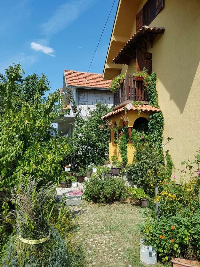 B&B Jonovic Donji Milanovac Zewnętrze zdjęcie