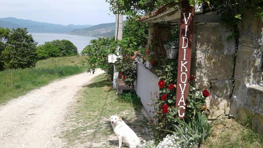 B&B Jonovic Donji Milanovac Zewnętrze zdjęcie