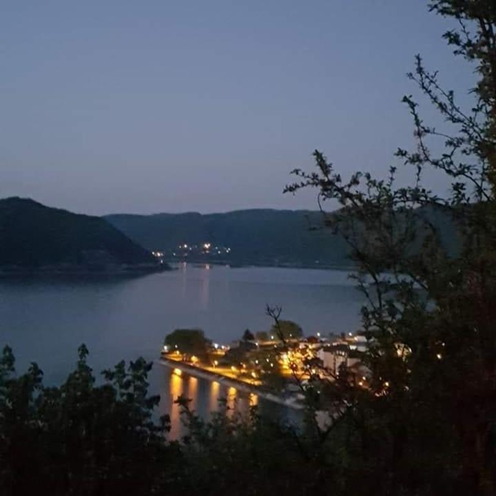 B&B Jonovic Donji Milanovac Zewnętrze zdjęcie
